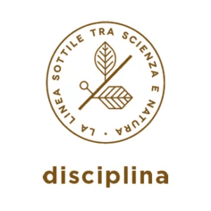 Disciplina