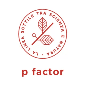 P Factor