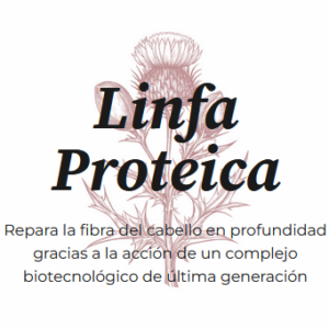 Linfa Proteica